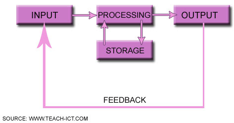 input and feedback